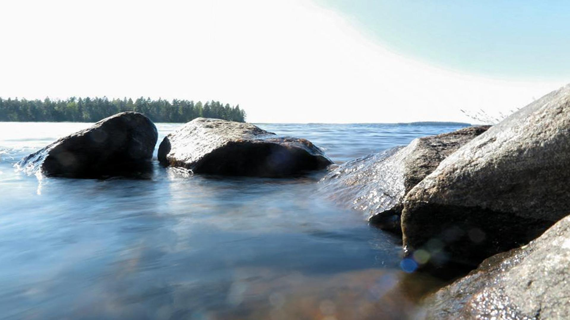 Rauhallinen kuvituskuva kuntoutuspsykoterapian jälkeen tietopankki osion lopussa.